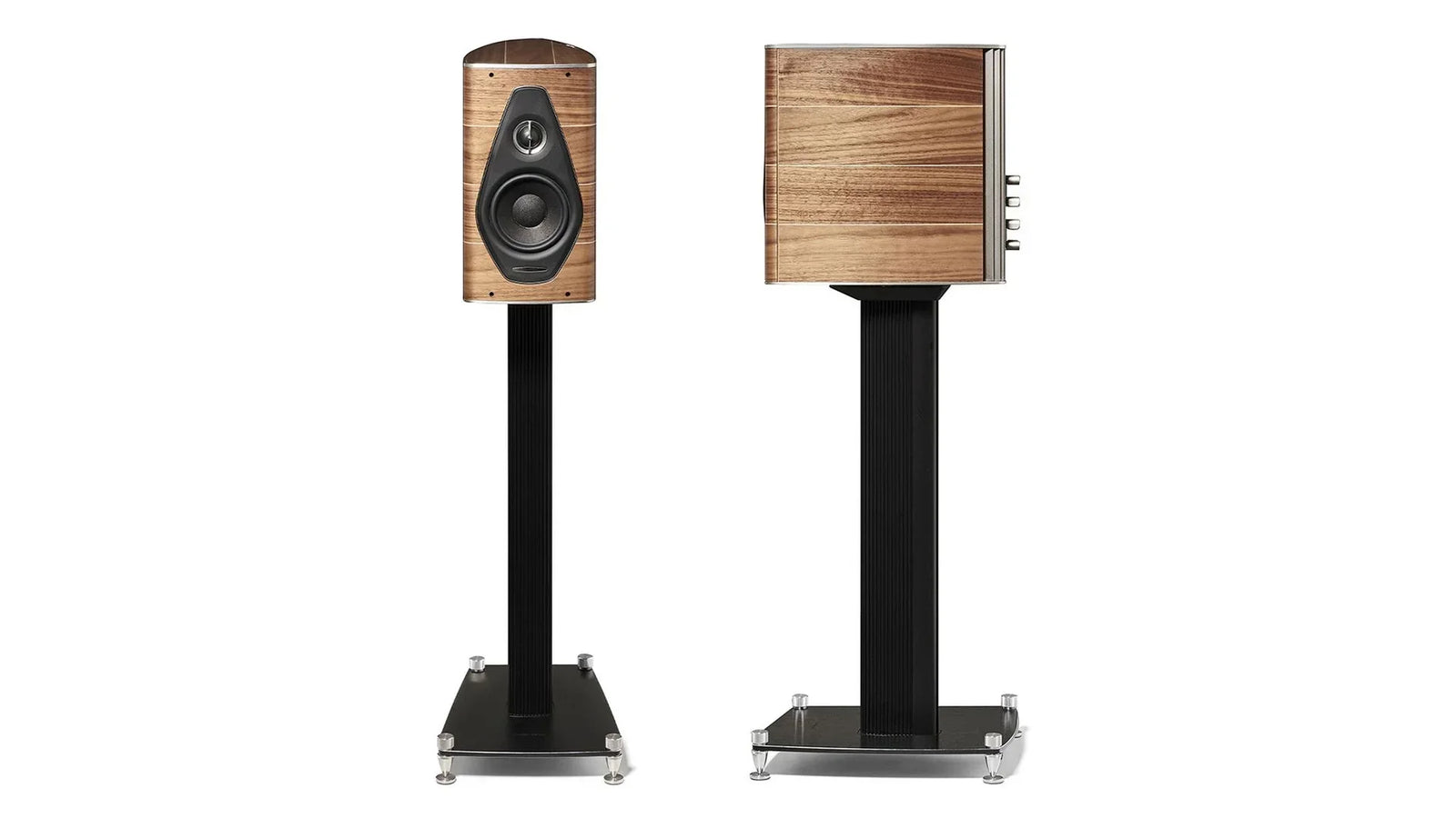 Sonus Faber - Olympica Nova I - The Source AV