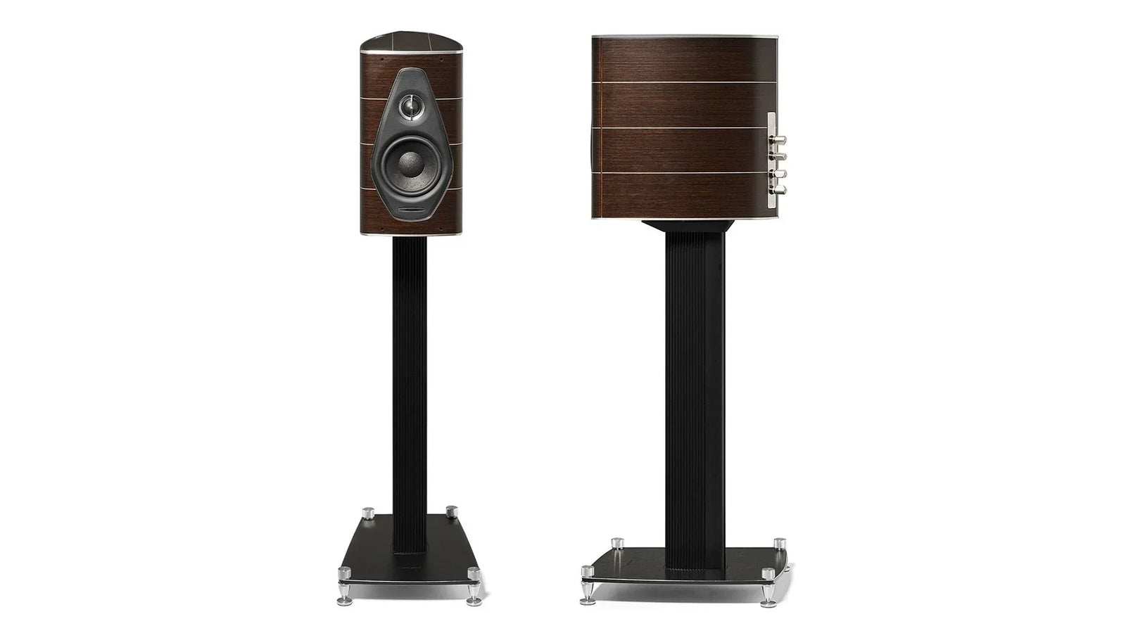 Sonus Faber - Olympica Nova I - The Source AV