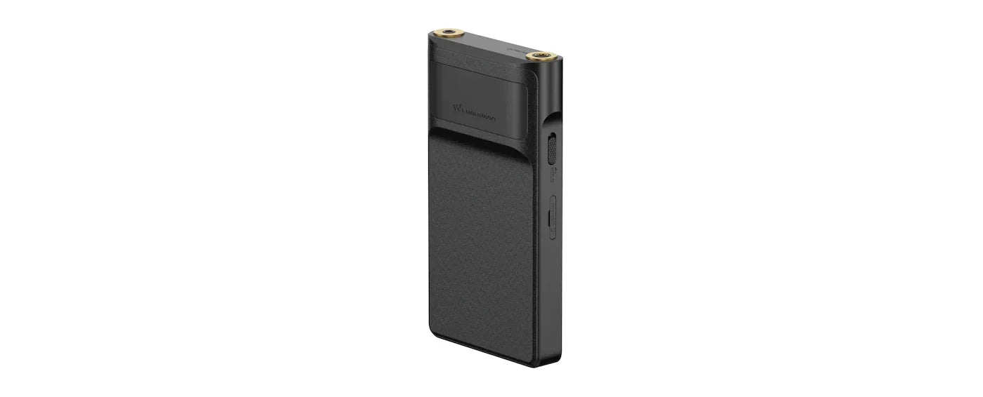 Sony ES - NW-WM1AM2 - The Source AV