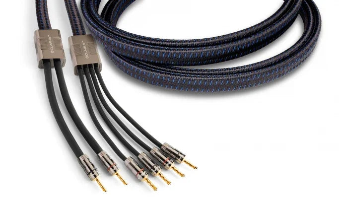 High-end audio speaker cables with multiple gold-plated connectors, sold at The Source AV