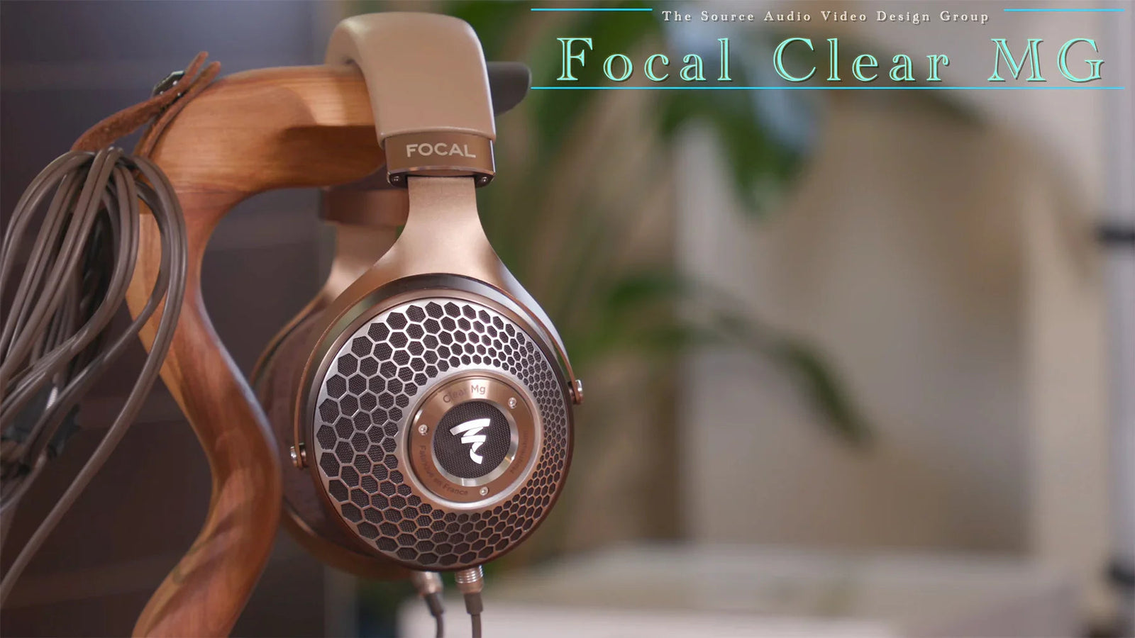 Focal Clear MG headphones on wooden stand, high-end audio gear at The Source AV