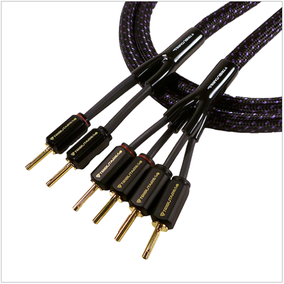 Tributaries Cable - Series 6 Bi-Wire Cable