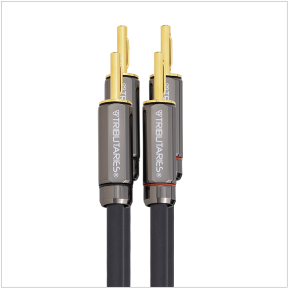 Tributaries Cable - Series 6 Speaker Cable