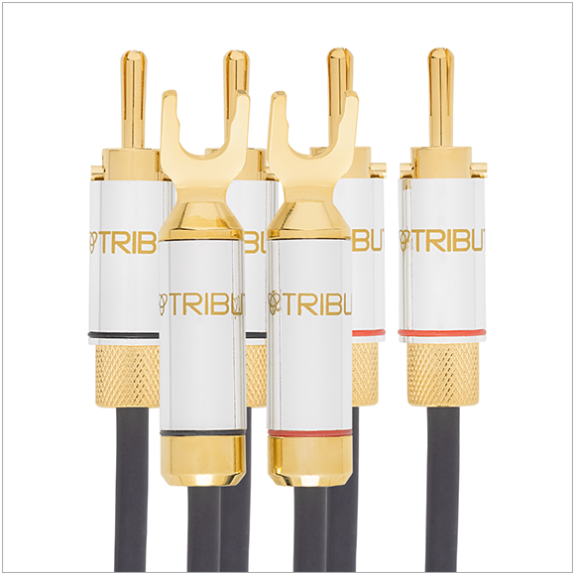 Tributaries Cable - Series 8 Bi-Wire Cable