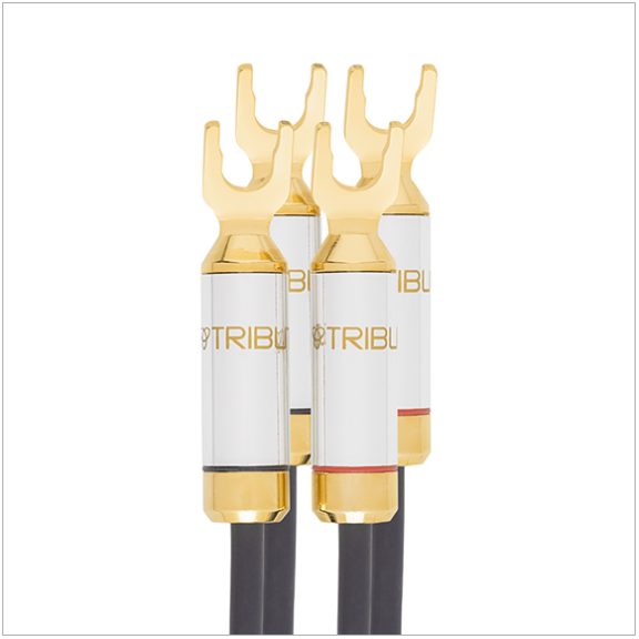 Tributaries Cable - Series 8 Speaker Cable