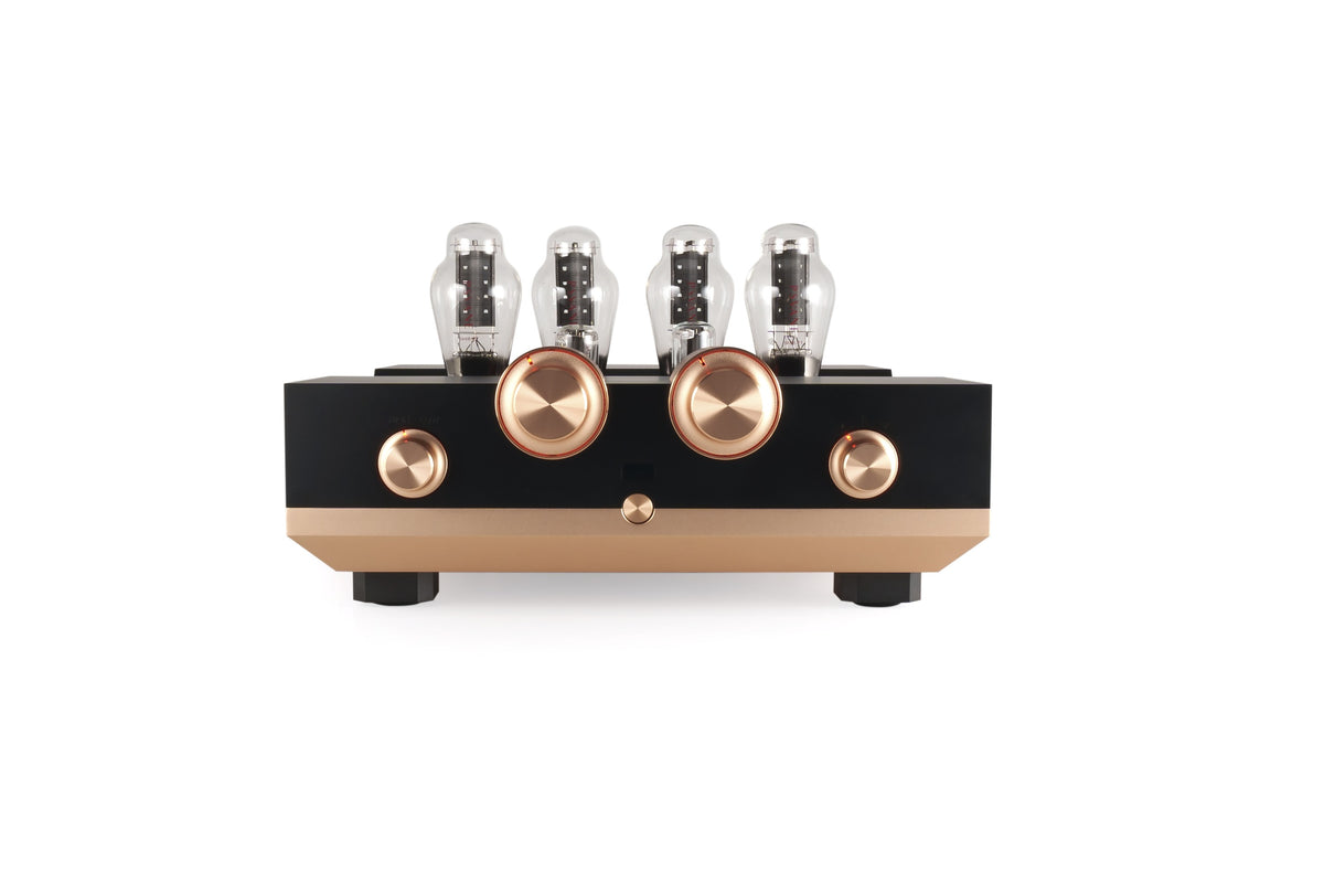Woo Audio - WA300