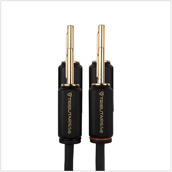 Tributaries Cable - Series 6 Speaker Cable